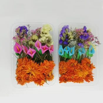 1 Kutija Priroda Sušeno Cvijeće Suhe Biljke za Novu Godinu/zurke/vjenčanja DIY Pribor za ručni rad je ručni Rad
