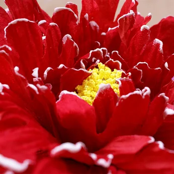 Modeliranje Veliki Božur Cvijeta Prozor Veliki Cvijet Vjenčanje Cesta Olovo Rekvizite Studio Fotografija Snimanje Ukras