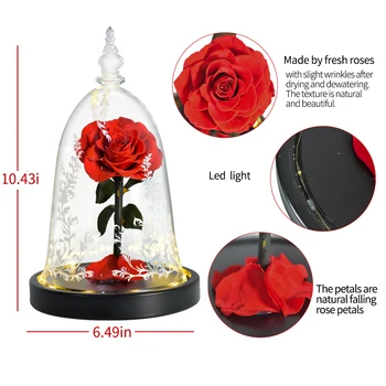 Pokloni za Valentinovo Ljepotica i Zvijer Spremljene Ruže U Staklu Zauvijek Vječni Ruže Cvijeće za Vjenčanje Poklon za Valentinovo za Gf