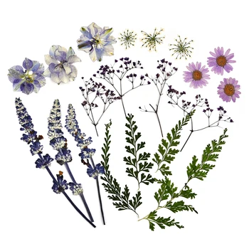 Prešani Suho Cvijeće UV Smole Ukrasna biljka Naljepnice 3D Prešani Prirodne Cvijeće Ljepota Naljepnica Za Nokte Kontakt Obrazac za Punjenje